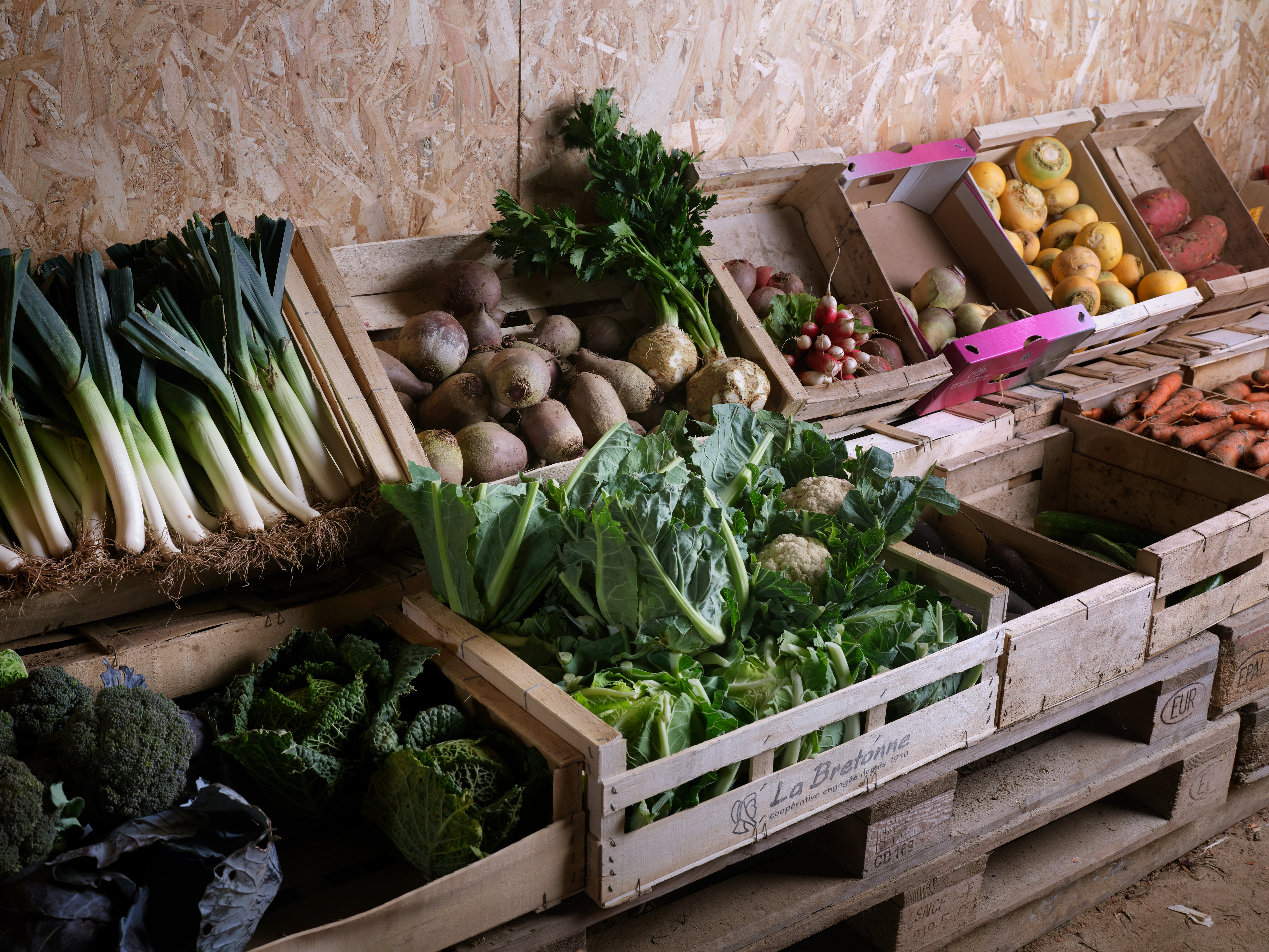 Illustration de l’expérience Légumes locaux dont oignon de Roscoff AOP